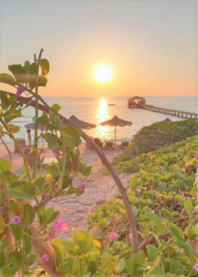 Rohanou Beach Resort El Qoseir Eksteriør billede
